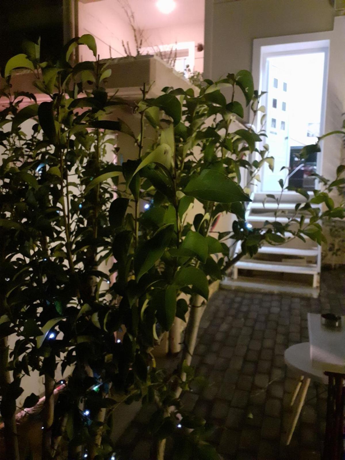فيلا Exostis نافبليو المظهر الخارجي الصورة